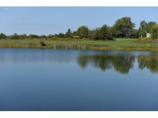 Property photo 38 - Tillable, Pasture, Recreational, Hunting and Fishing Property  
